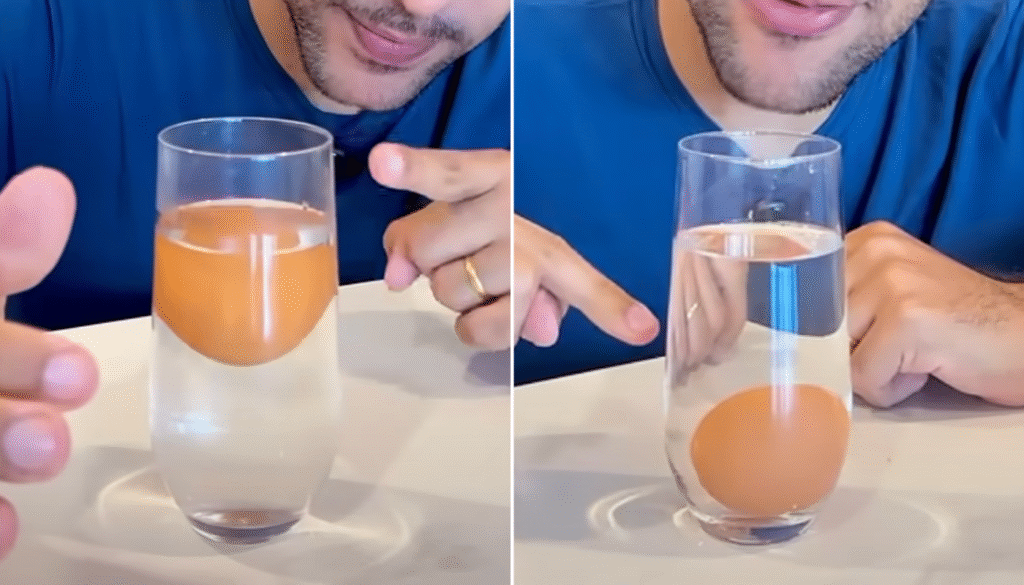 teste do ovo estragado