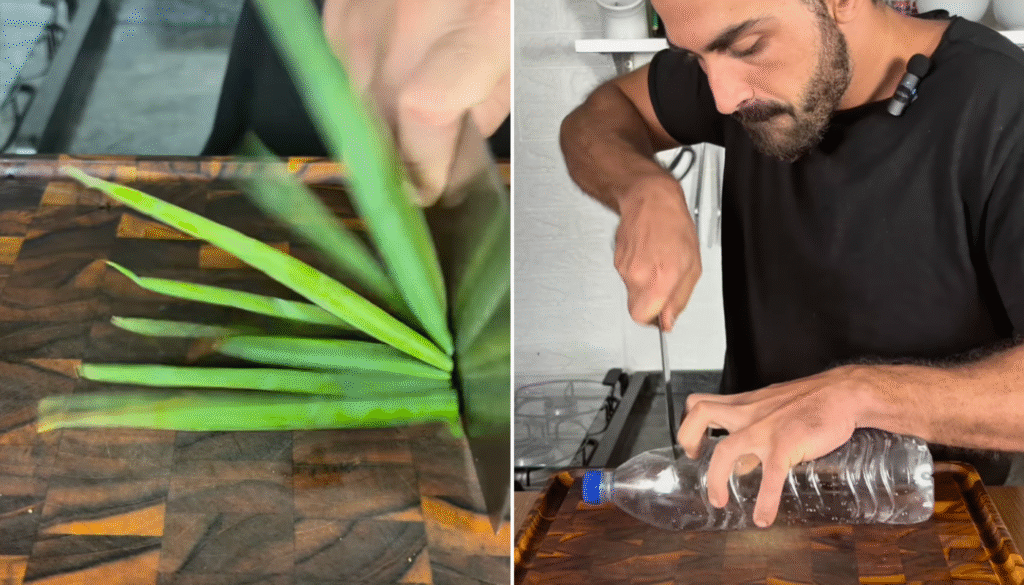 truque para manter ervas frescas